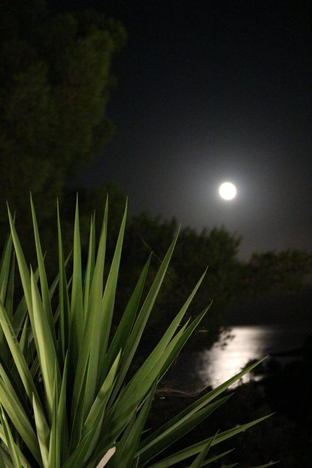 Holiday Hvar Vrbanj Buitenkant foto